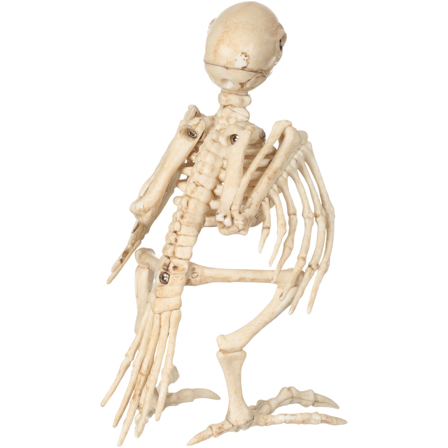 Halloween Faux Skeleton Crazybonez Pouncing Cat Halloween Decoration