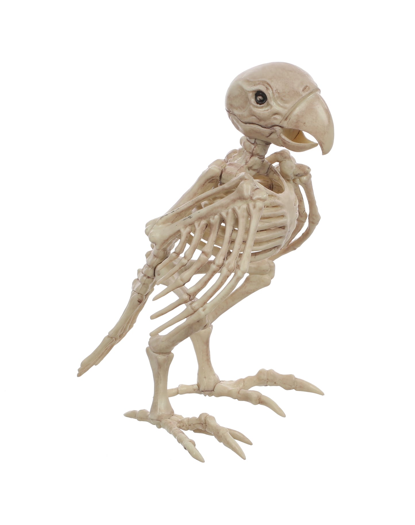 Halloween Faux Skeleton Crazybonez Pouncing Cat Halloween Decoration